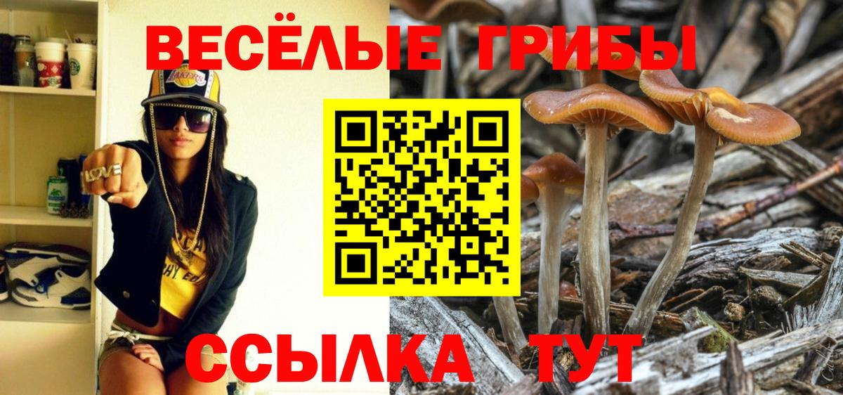 Кисловодск  продажа наркотиков  Вход с VPN  Псилоцибиновые грибы GOLDEN TEACHER  Псилоцибиновые грибы ЛСД 