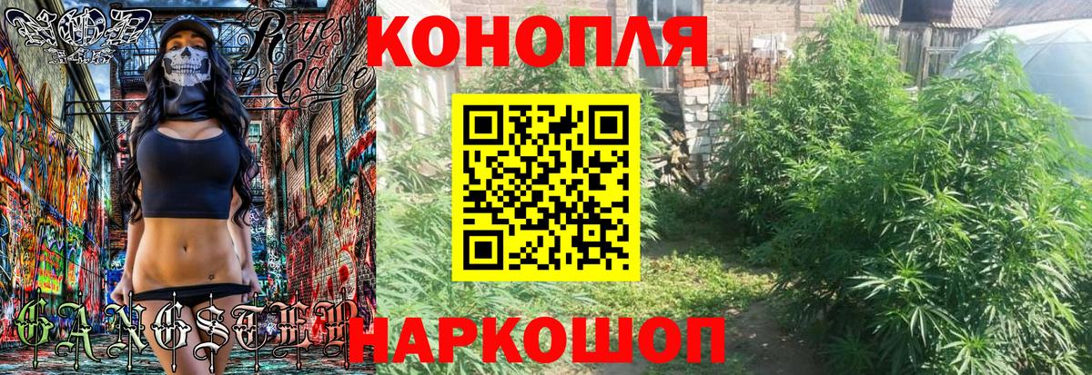 Кисловодск  Канабис сатива  Вход с VPN  Бошки марихуана марихуана  МАРИХУАНА конопля 